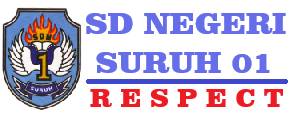 logo-sd